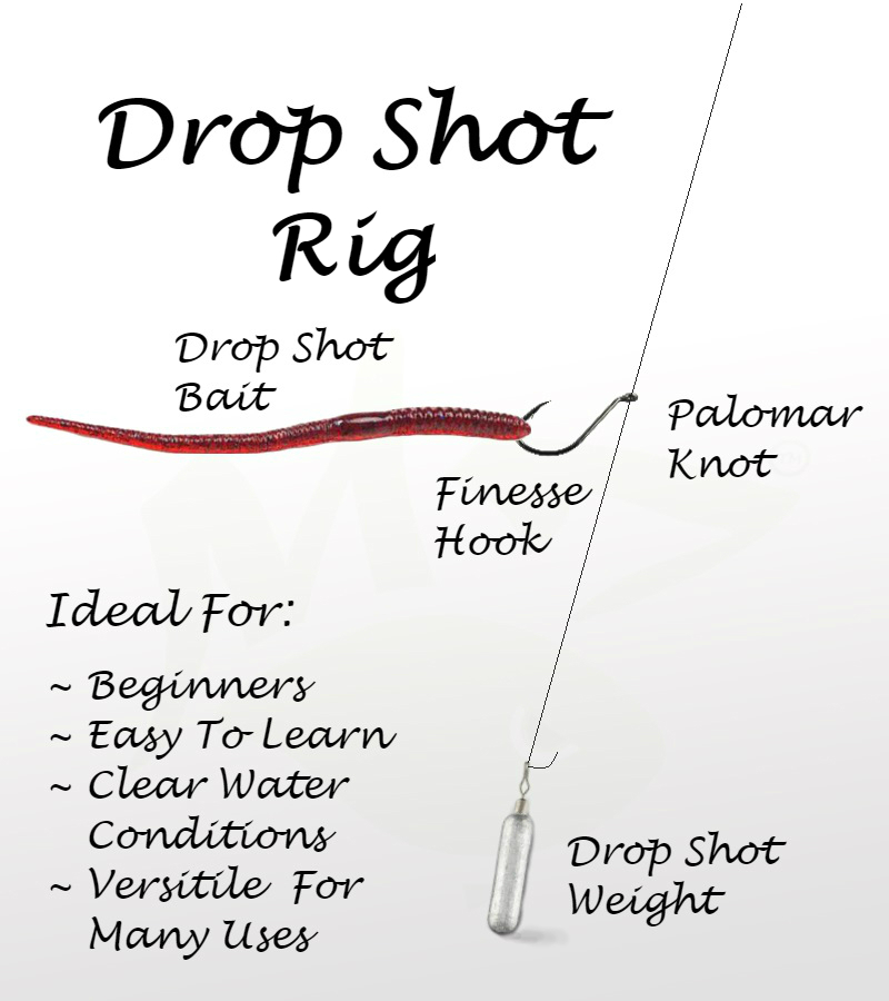 Drop Shot Fishing Secrets - Mythik Lures angler fish diagram 